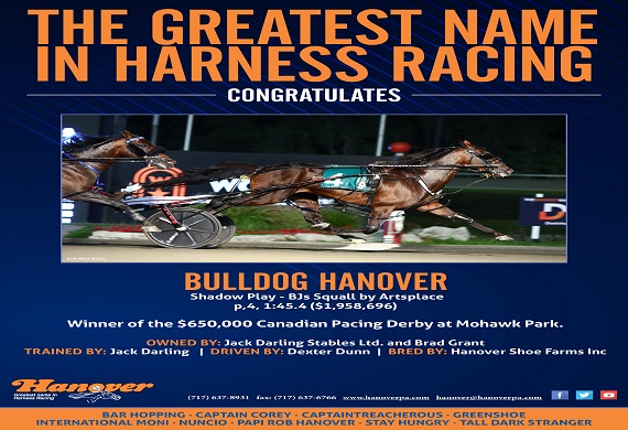 Bulldog Hanover